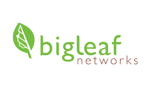 big leaf networks logo