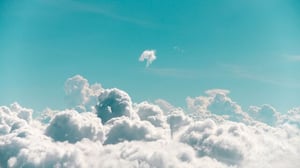 an-tran-xa-X3YICs3s-unsplash