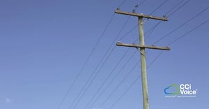 Telephone Lines (1)