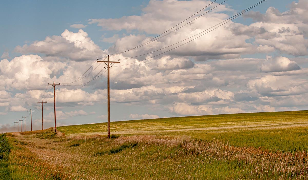 telephone wires on barren land